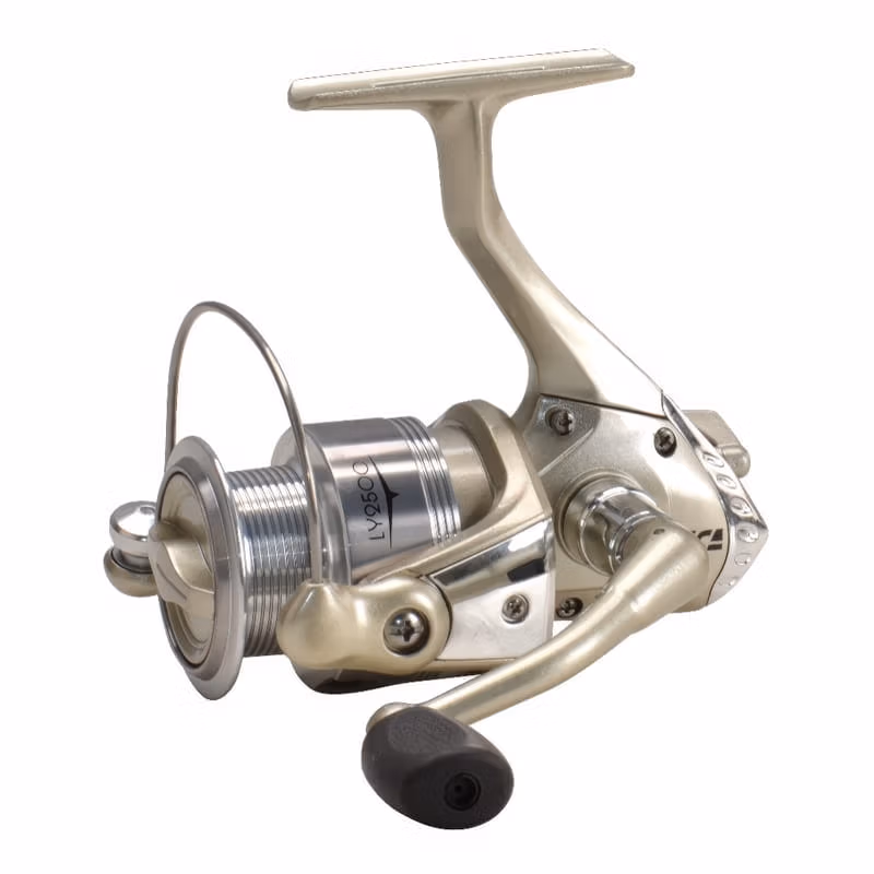 TICA Cambria LY is sono