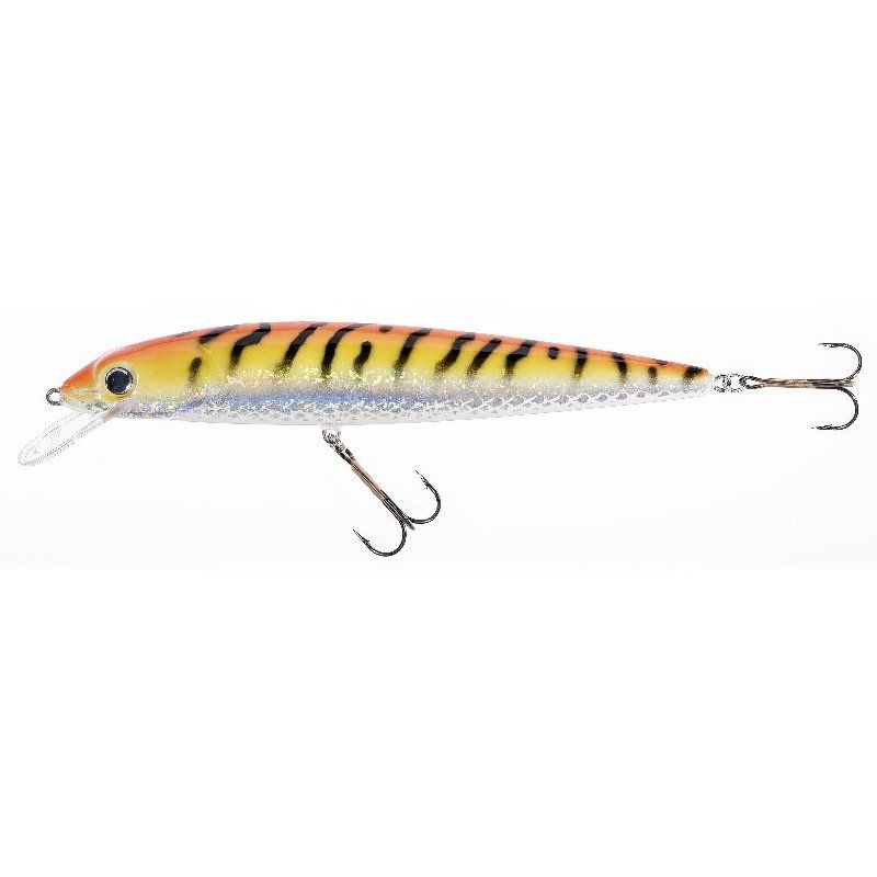 Jaxon Holo Select Fish Max. Spalvos kodas GFT-