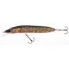 Jaxon Holo Select Pike Max. Spalvos kodas BM-