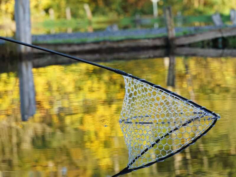 Trout Master Soft Net Head. Vandenyje-