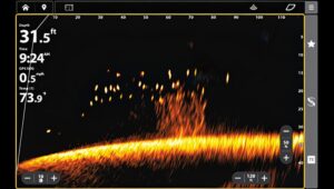 Humminbird MEGA Live 2. Zuvies indentifikacija