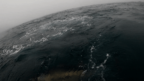 Wicked Tuna Fishing GIF by National Geographic Channel Wicked Tuna Fishing GIF by National Geographic Channel