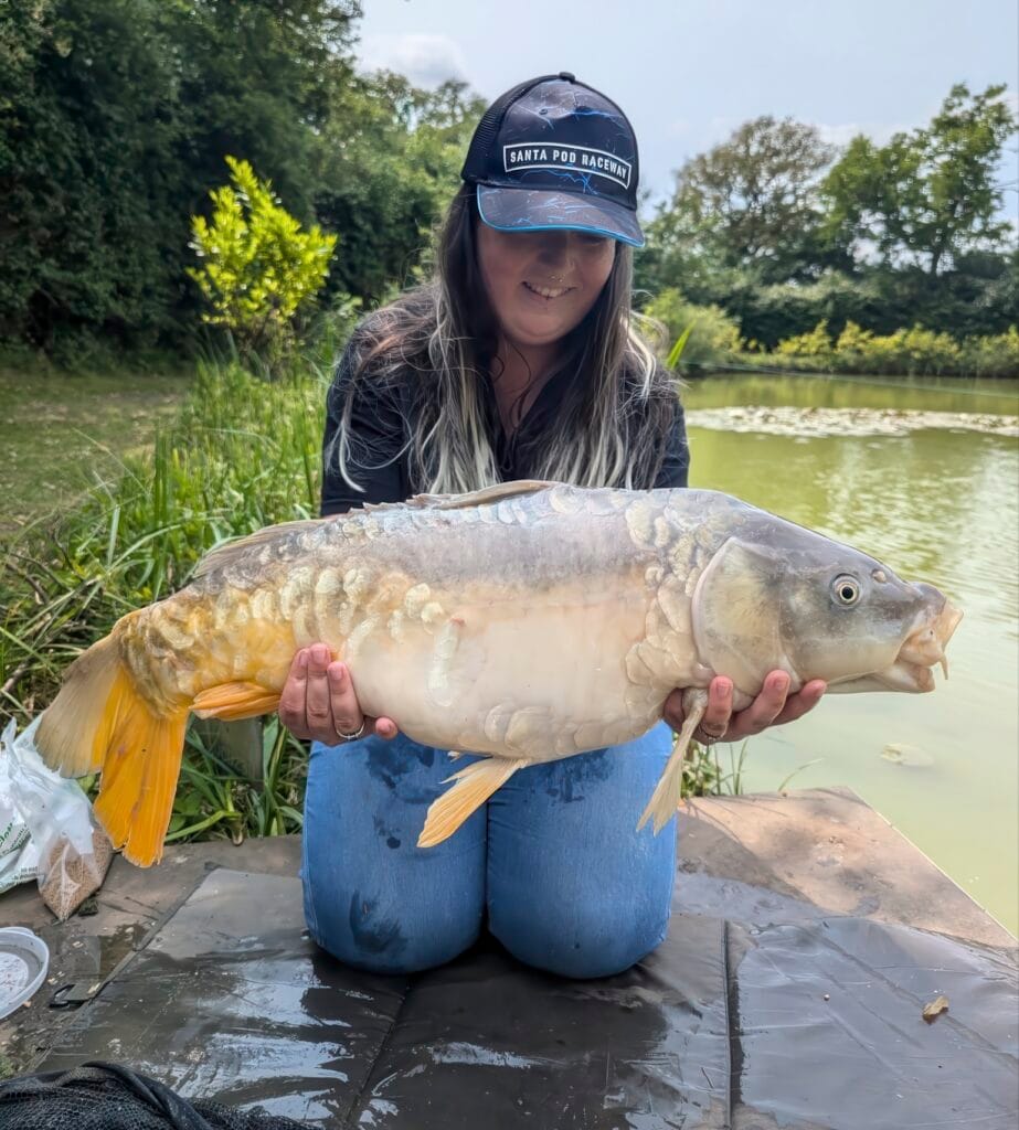 JAUKO RECEPTAS DIDELIEMS KARPIAMS JAUKO RECEPTAS DIDELIEMS KARPIAMS