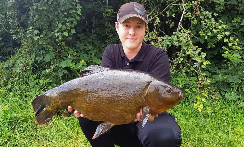 Geriausias jaukas lynams. Didelis lynas