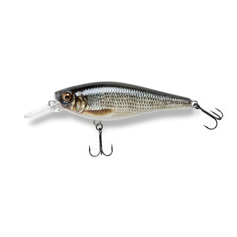 baker lures suspending shad. Spalvos kodas_T005