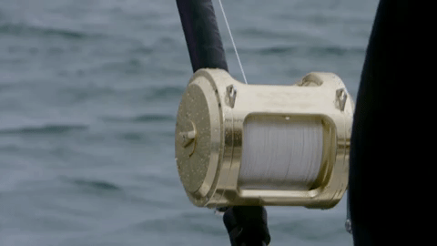 wicked tuna GIF by National Geographic Channel wicked tuna GIF by National Geographic Channel